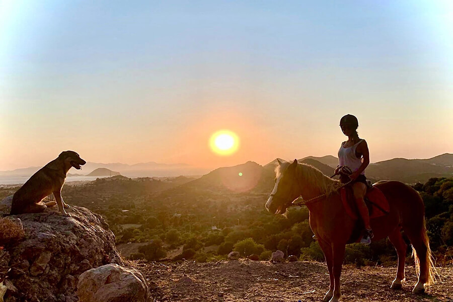 Discover the nature of Bodrum on horseback